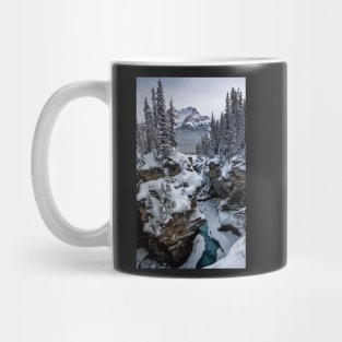 The Contrasts of Winter Mug